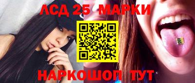 индика Можга
