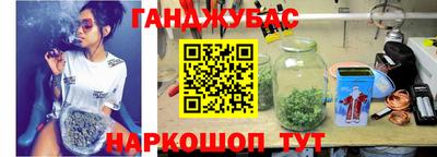 индика Можга