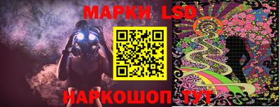 индика Можга