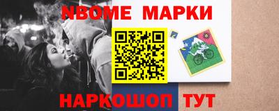 индика Можга