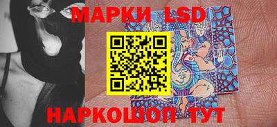 индика Можга
