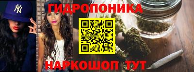 индика Можга