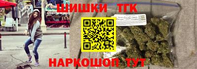 индика Можга
