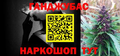 индика Можга