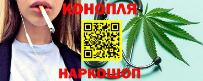 индика Можга