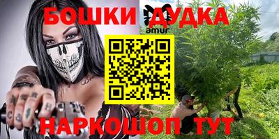 индика Можга
