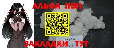 индика Можга