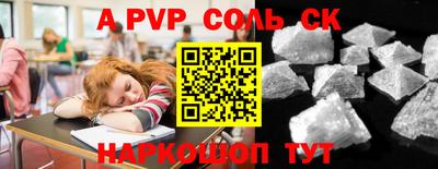 индика Можга