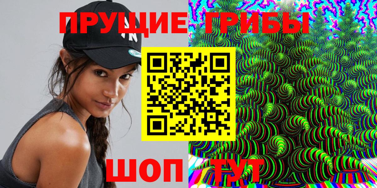 Усть-Илимск  Псилоцибиновые грибы мухоморы  продажа наркотиков  Вход с VPN 