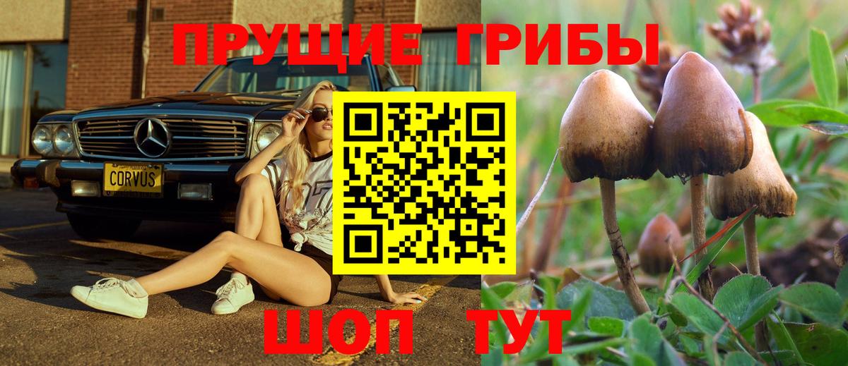 Псилоцибиновые грибы прущие грибы Усть-Илимск